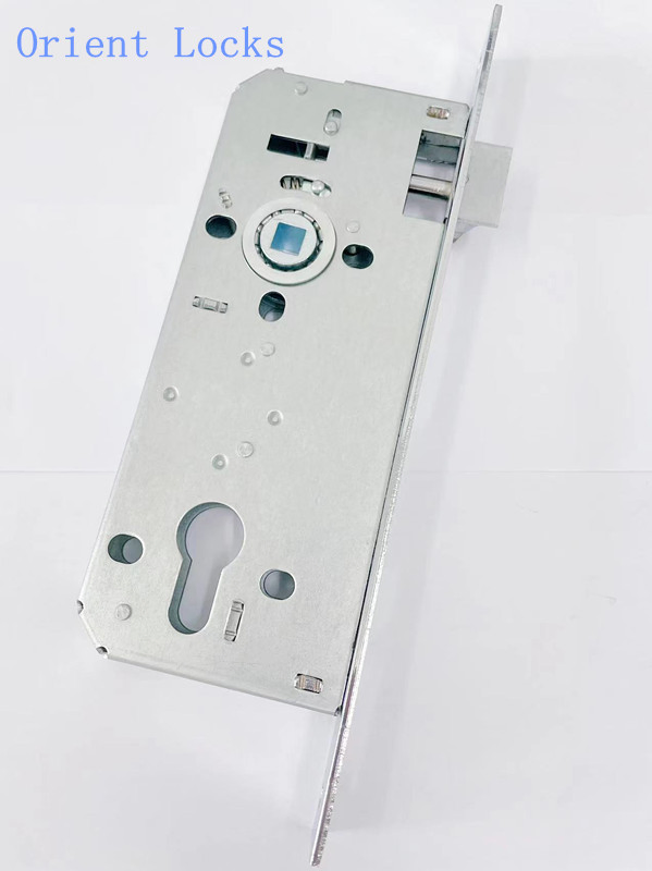 Mortise Door Lock 194 Series with Cylinder Hole