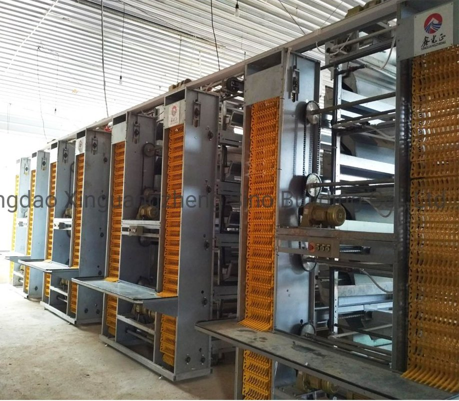 Prefabricated Building Galvanized Steel Structure Farming Shed Chicken Poultry House
