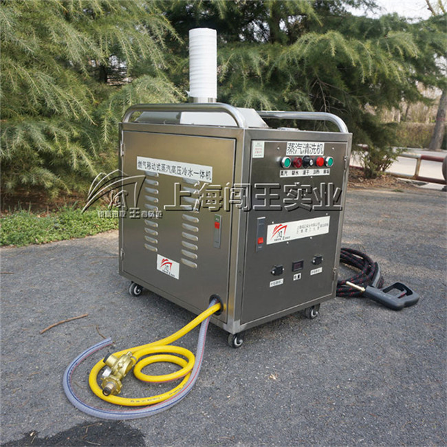 Car Engine Caebon Cleaning Machine High Pressure Car Washer for Engine