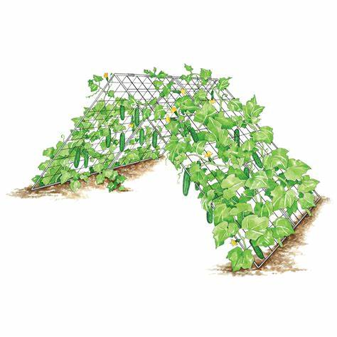 Folding Wire Wall Trellis Metal Garden Plants Support Trellis