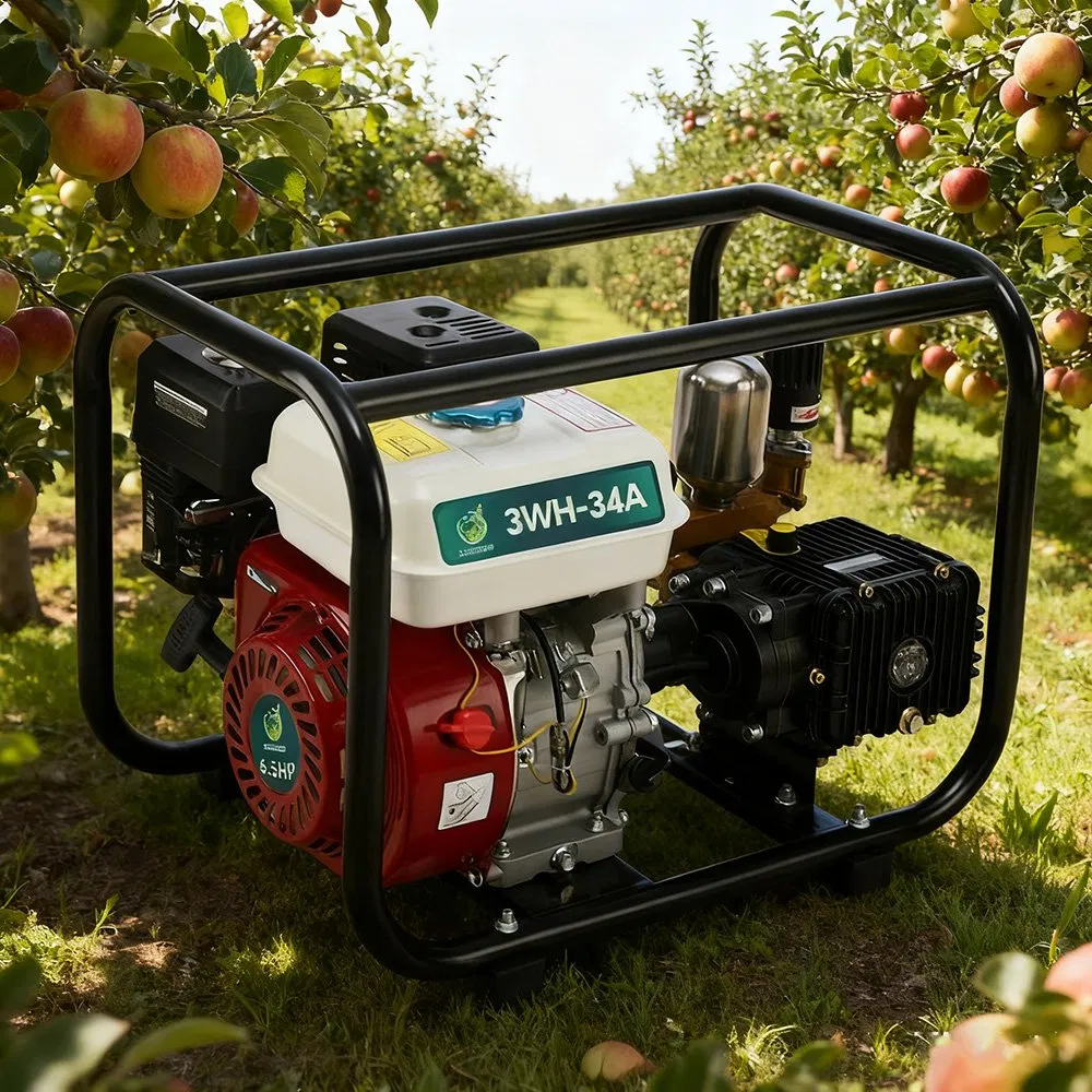 Agricultural Trolley Sprayer with Gasoline Engine Irrigation and Pesticide Sprayer Machine with Wheel Barrow