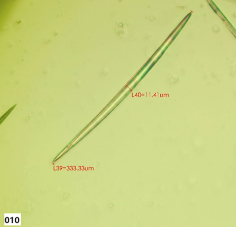 Hydrolyzed Sponge Cosmetic Raw Material Hydrolyzed Sponge No. 010-330μm-99% Spicule/Microneedle for /Hair Regrowth