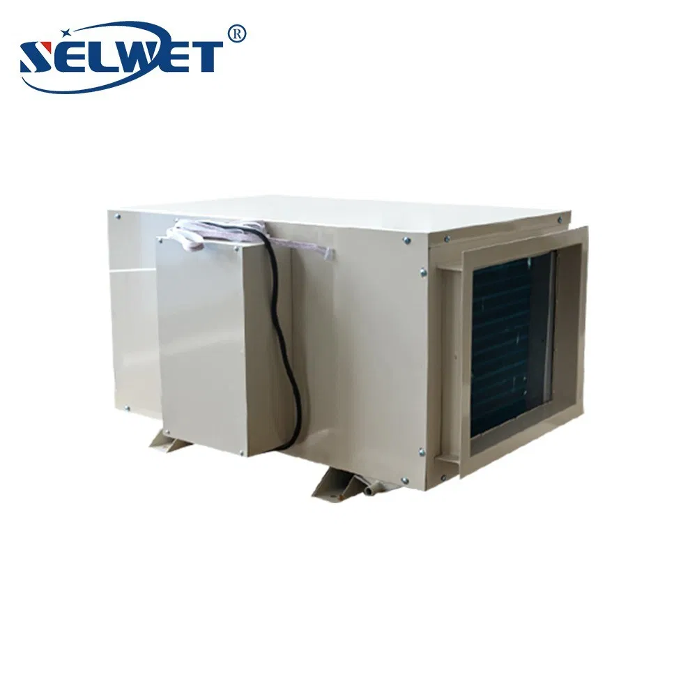 Thin Compact Mini Size Ceiling Concealed Duct Type Industrial Swimming Pool Dehumidifier