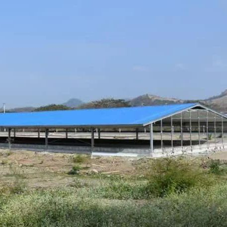Low Cost Prefabricated Steel Structure Poultry House Chicken House