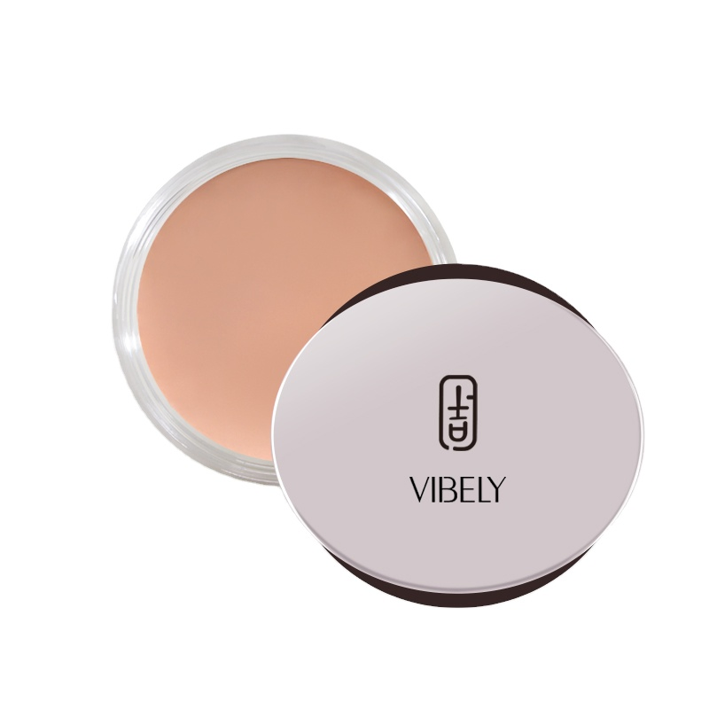 Face Makeup Foundation Waterproof Moisturizing Matte Lasting Full Coverage Contour Concealer