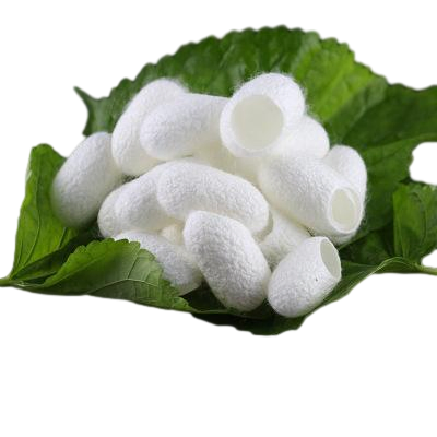 Hydrolyzed Silk Protein White Powder Cosmetic Raw Material for Body Care
