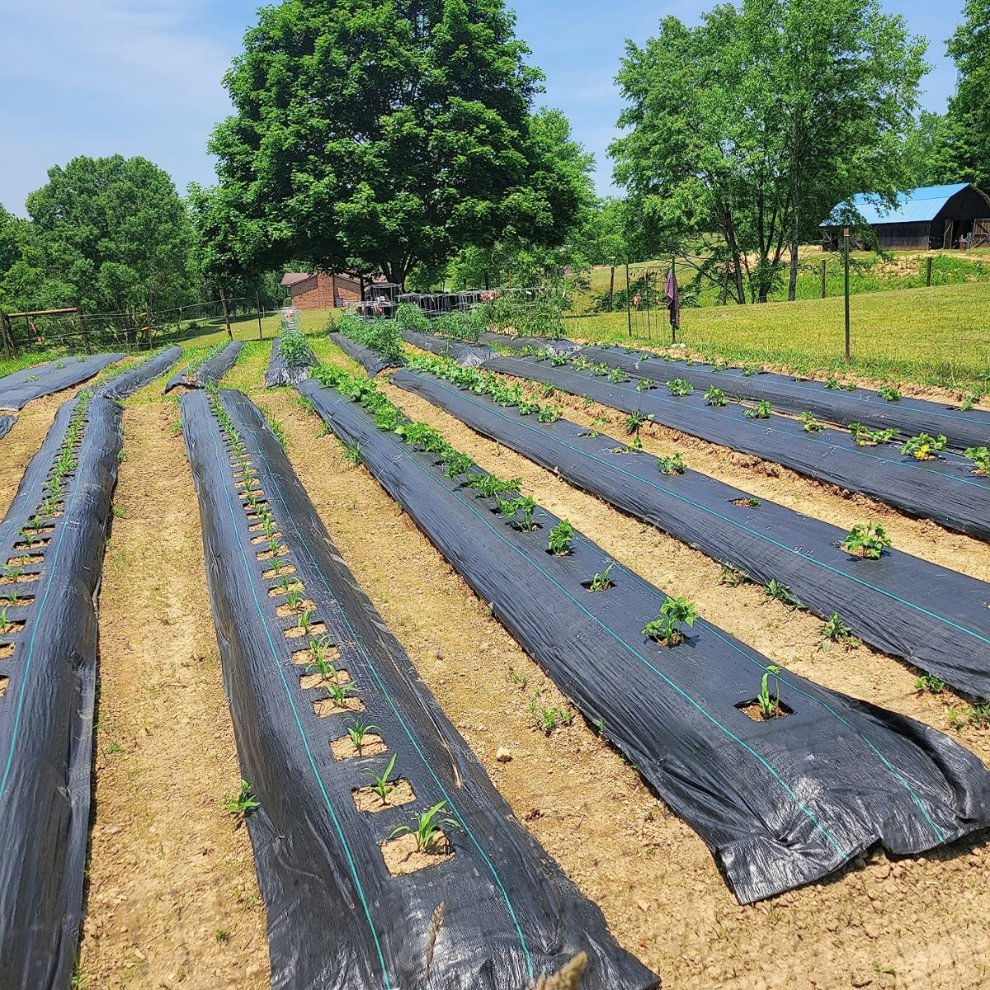PP/PE Woven Landscaping Fabric Weed Barrier for Garden