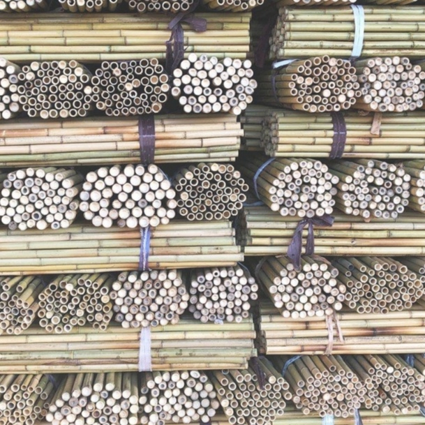 Premium Quality Bamboo Poles Canes, Ideal for Garden Trellis and Support Structures