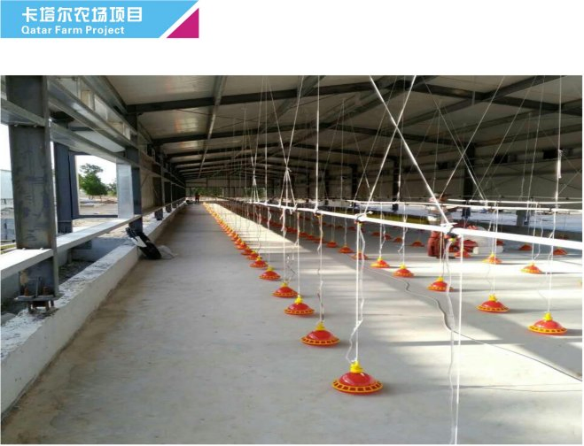 Prefabricated Modern Farmhouse Commercial Broiler House Meat Chicken Coop Supply Poultry Farm Near Me