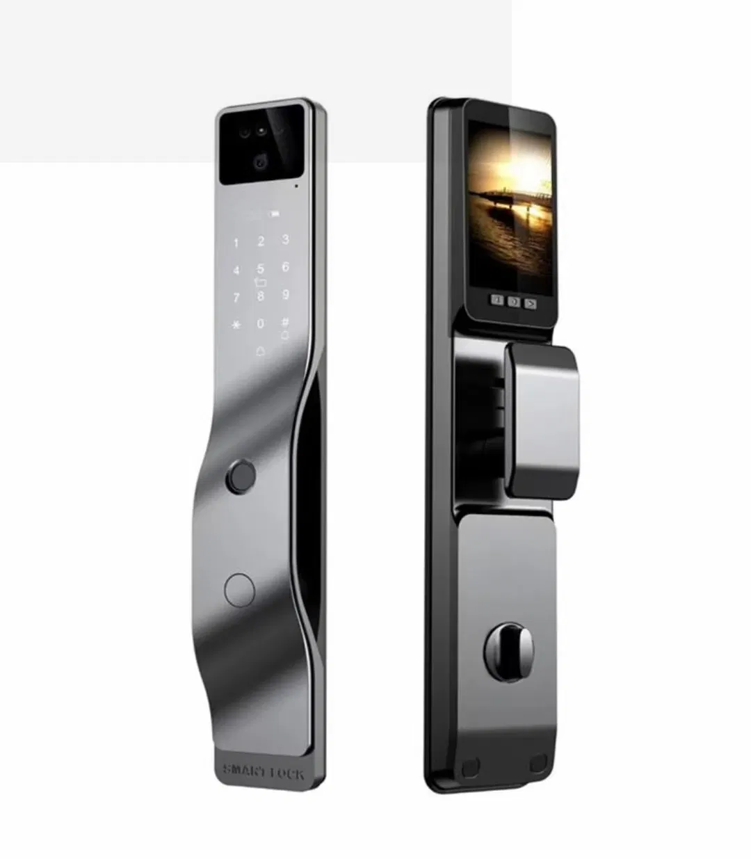 Industrial-Strength Anti-Violence Smart Door Lock