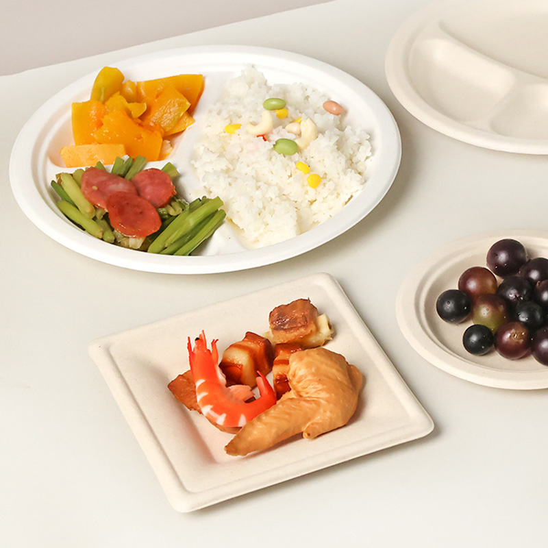 Sugarcane Pulp Biodegradable Disposable Bagasse Clamshell Food Containers for Packaging