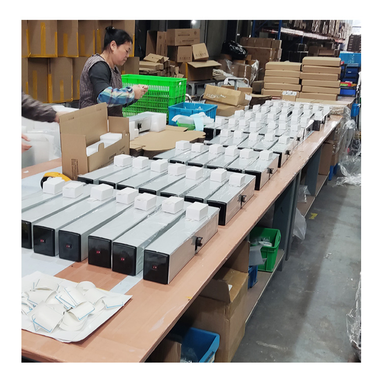 Hot Sale Factory Price Dsw100n 100kg Interior Electric Door Swing Motors Door Opener for Apartment /Hospital /Storefront Automatic Doors