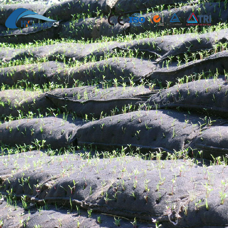 2024 Hot Sale Polyester Nonwoven Geotextile Geobag Customized with Best Price