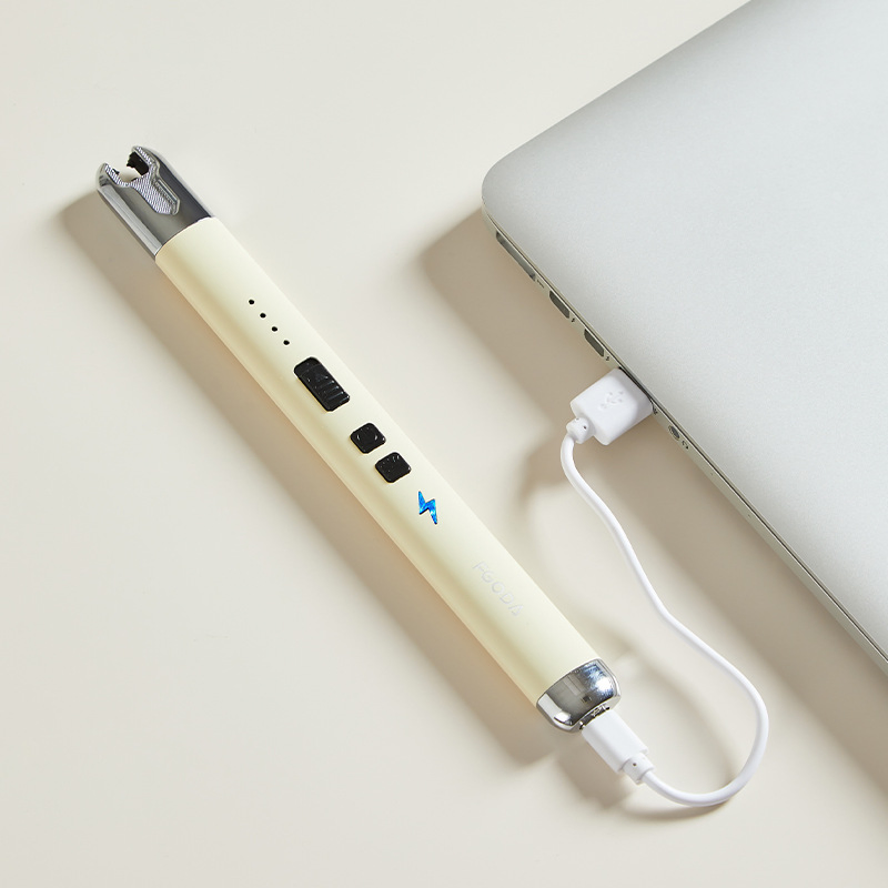 Environmentally Friendly Pulse Lighter USB Charging Windproof Lighter Torch