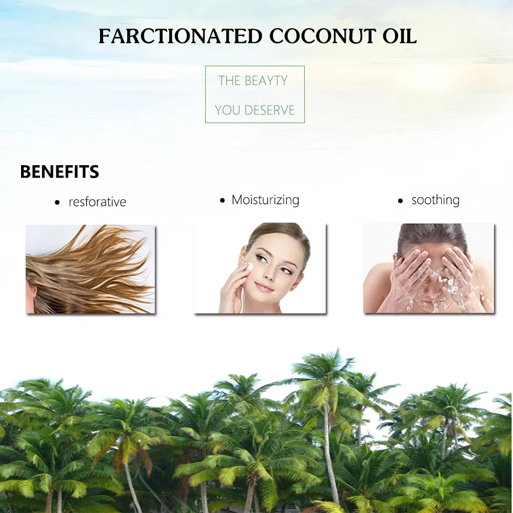 Wholesale Refined Facial Body Care Hair Care Treatment High Quality Organic Extra Virgin Coconut Skin Oil for Face