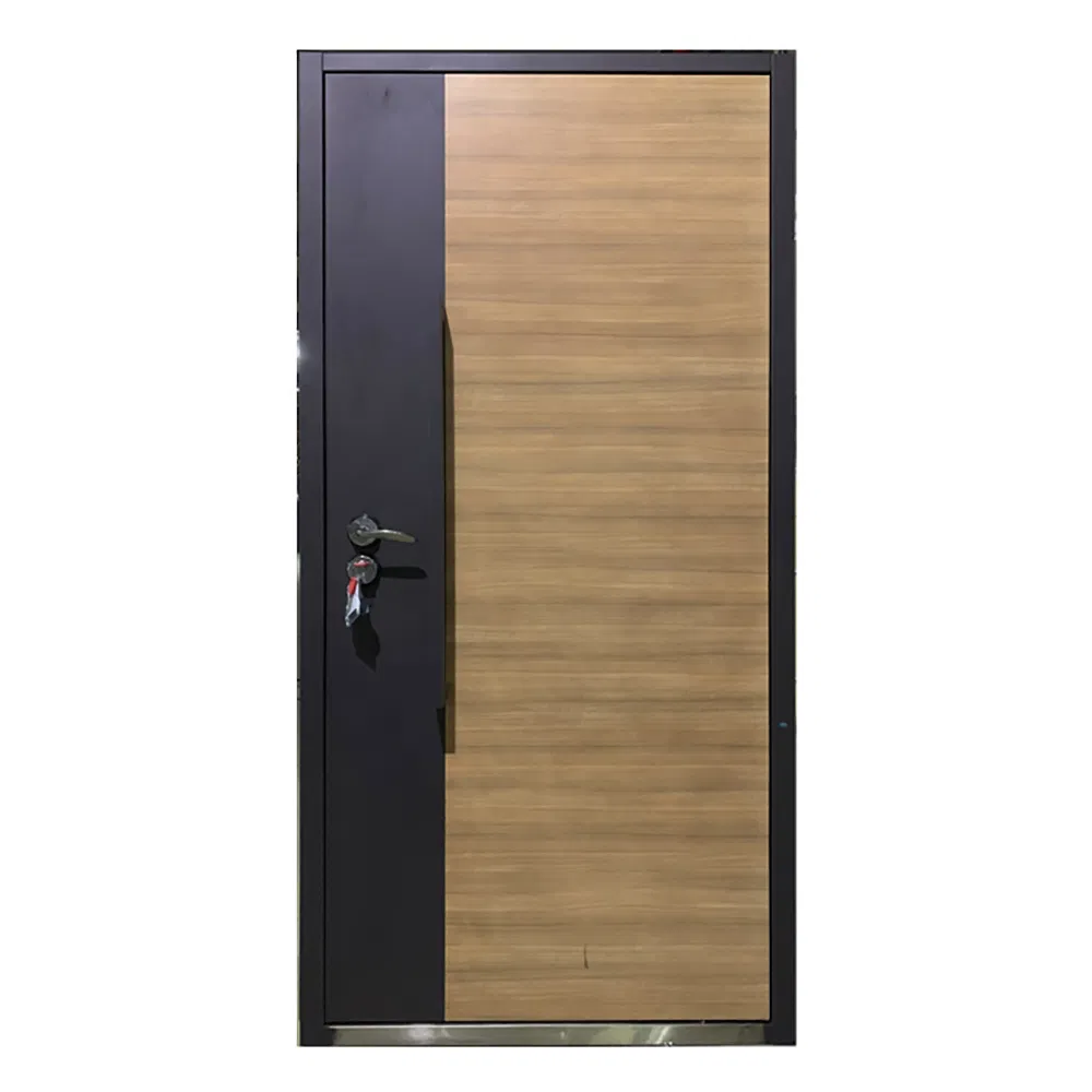Luxury High Quality Steel Front Door with Long Handle