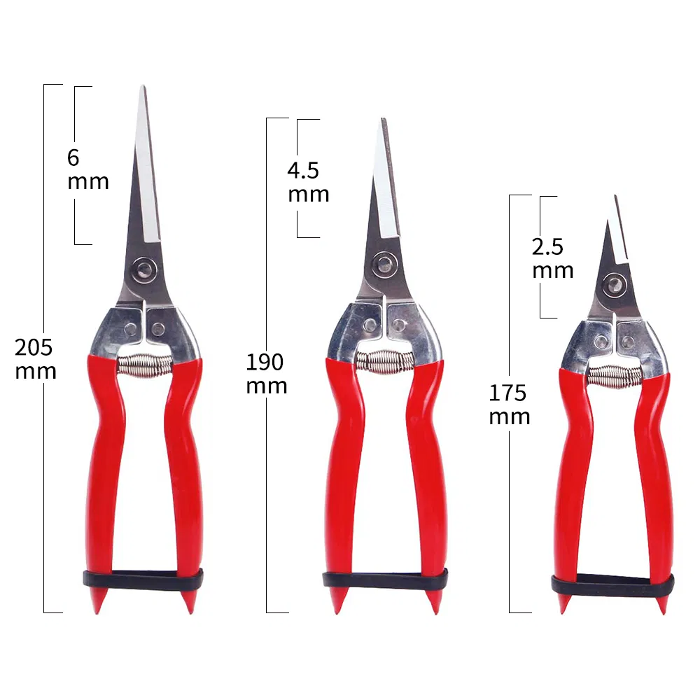 170mm/190mm/200mm Pick up Scissors Stainless Steel Pruning Shears Scissors for Grape