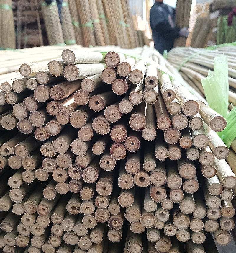 Best Bamboo Pole Supplier for DIY Projects