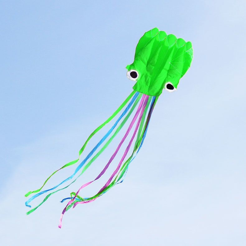 Large Adult Wind Resistant Easy Windy Outdoor Leisure Sports Flying Kite