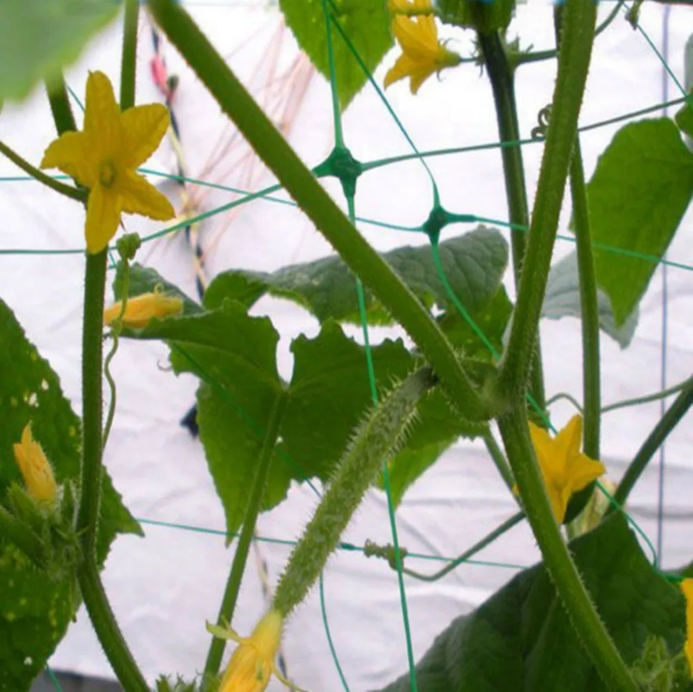 Soft Mesh Heavy Duty Plant Support Trellis Netting 5 X 350 FT - Garden Netting for Climbing Plants, Vegetables and Fruits
