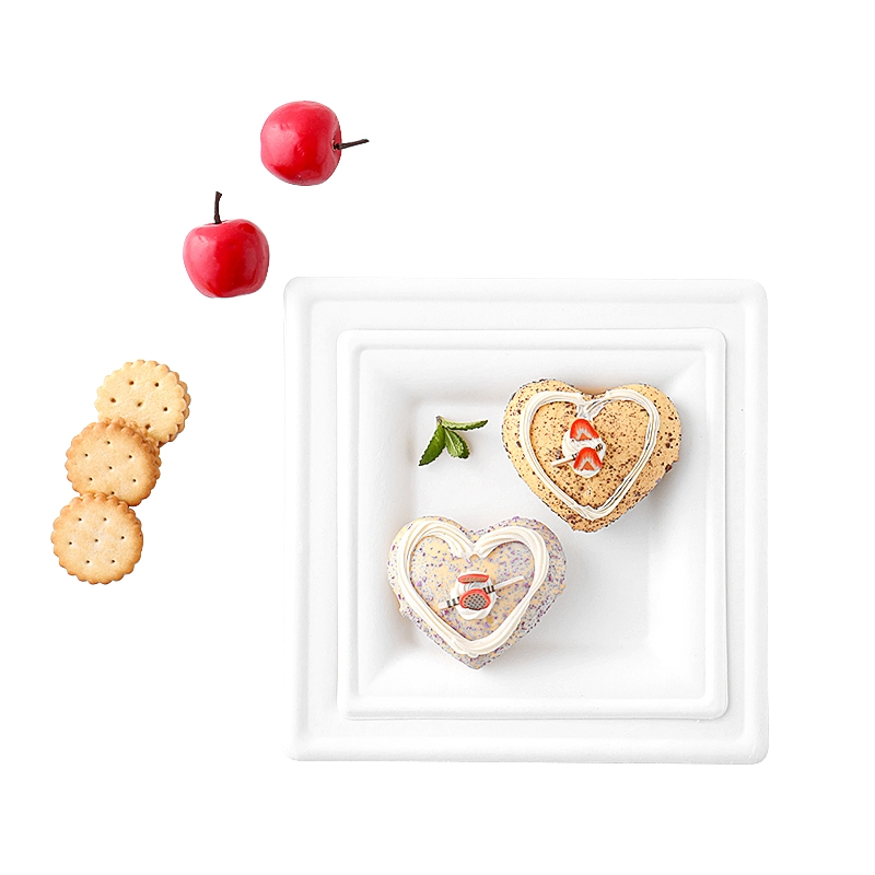 Wholesale Disposable Dinnerware Bagasse Food Grade Kids 10 Inch Biodegradable Plate