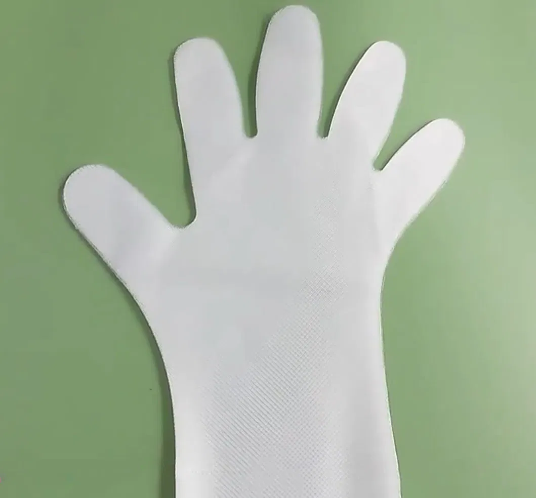 Disposable PE Gloves - Safe Hand Protector Disposable Gloves Kitchen Ware