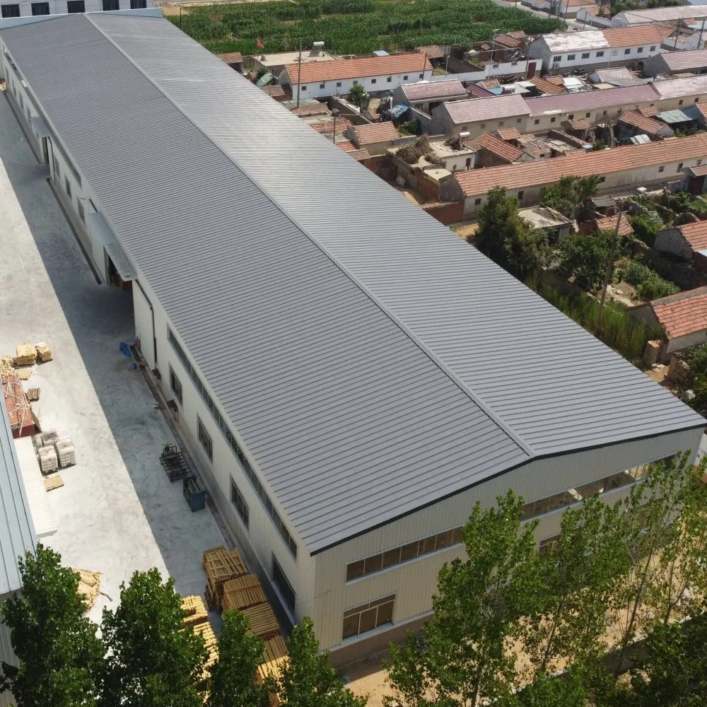 Large Span Competitive Price Prefabricated Steel Workshop
