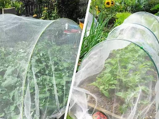 Insect Proof Net for Vegetables and Fruits 2X100m