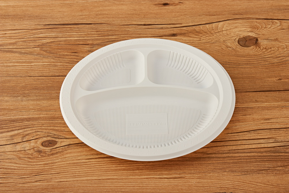 Biodegradable Eco Friendly Disposable Plates 10 Inch for Meal Party Camping Picnic