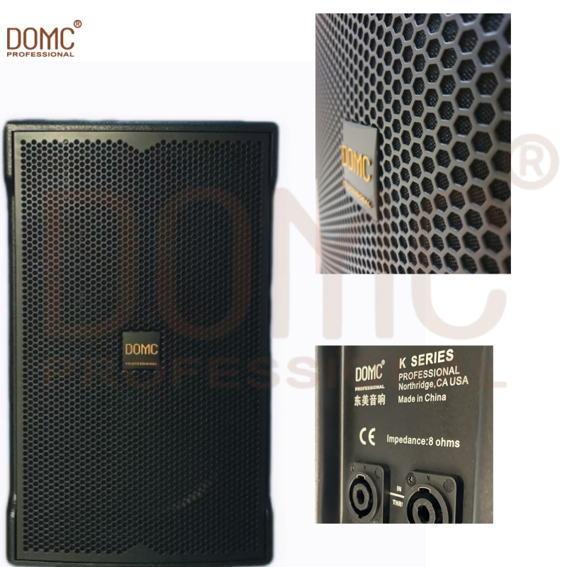 High-Power 15-Inch Single Speaker for Professional Stage Use