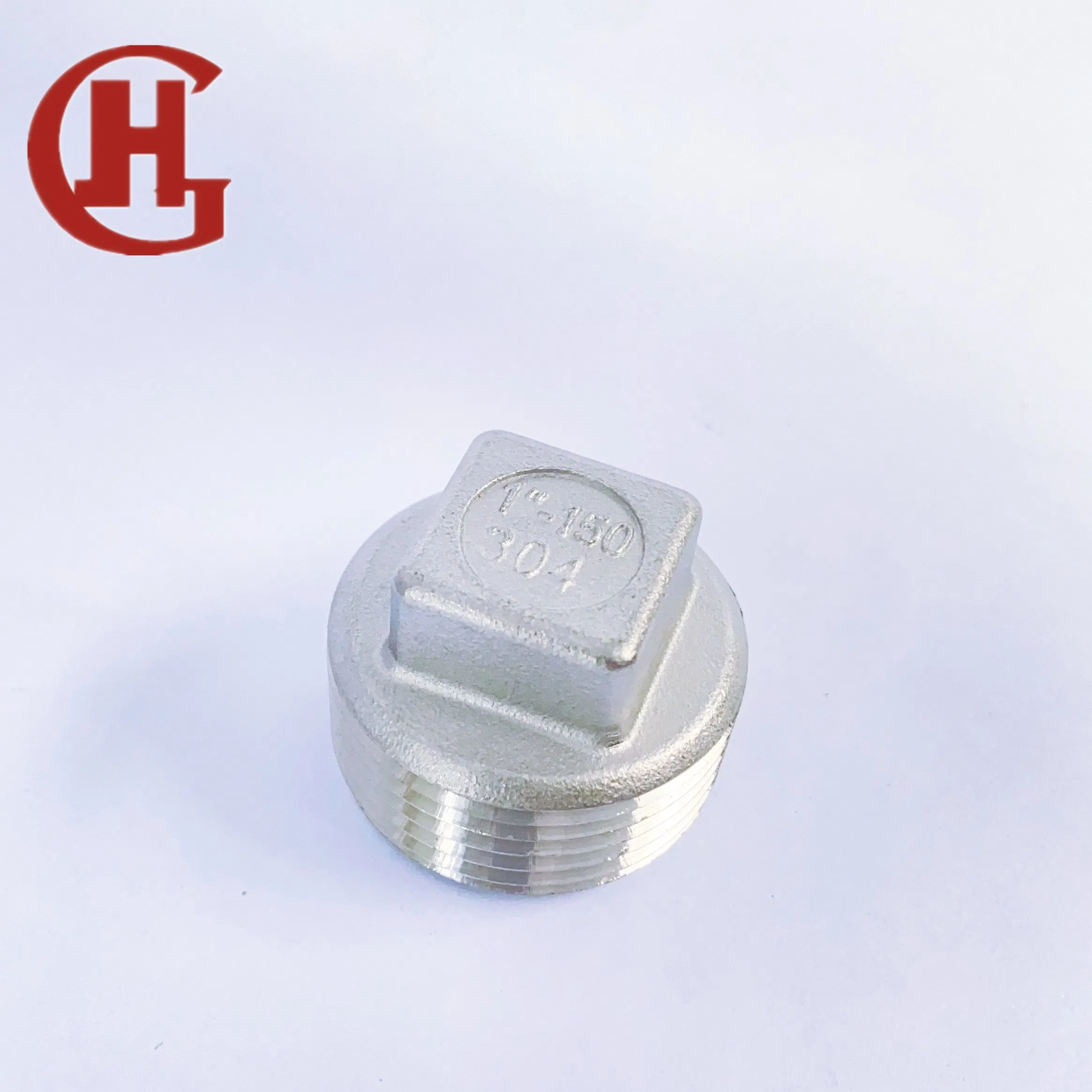 Stainless Steel Pipe Fitting SS304 Thread Screw Plug