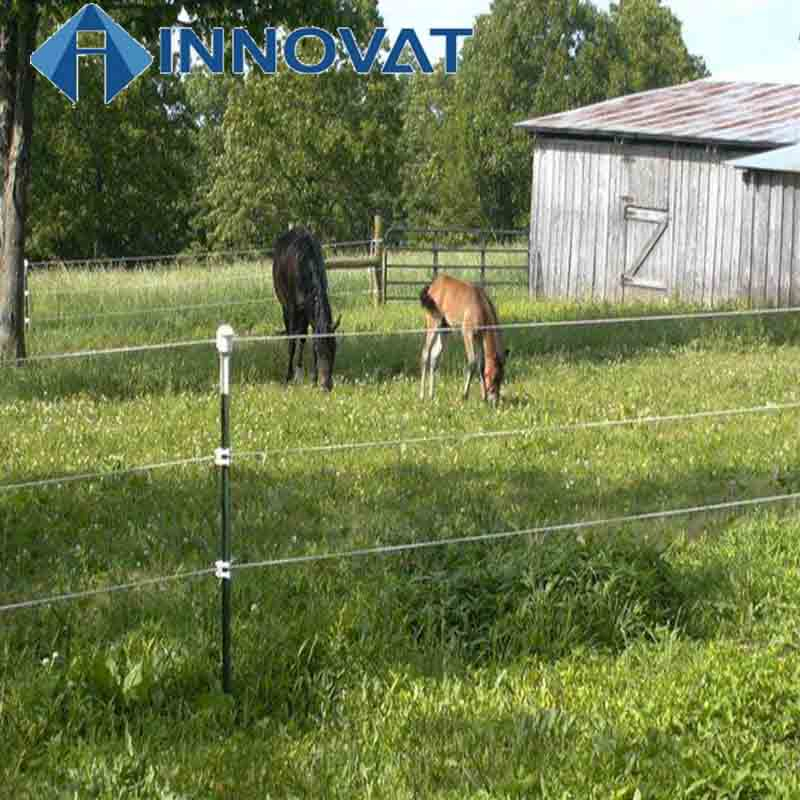 Farm Fence Studded T Post (USA Type) and Most Popular 10FT T Posts Garden Fence Post Steel T Post Studded T Post /Steel Fence Post /Steel T Post Cattle