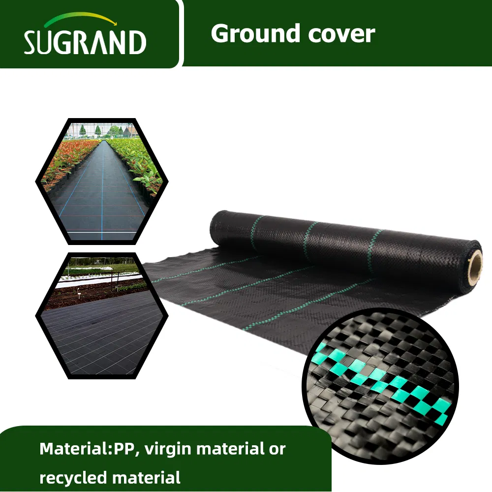 Manufacturer Ground Cover Fabric 25m on Vegetable Garden