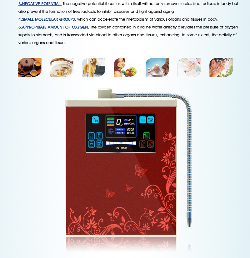 7 Platinum Coated Titanium Plates Alkaline Water Ionizer Bw-6000