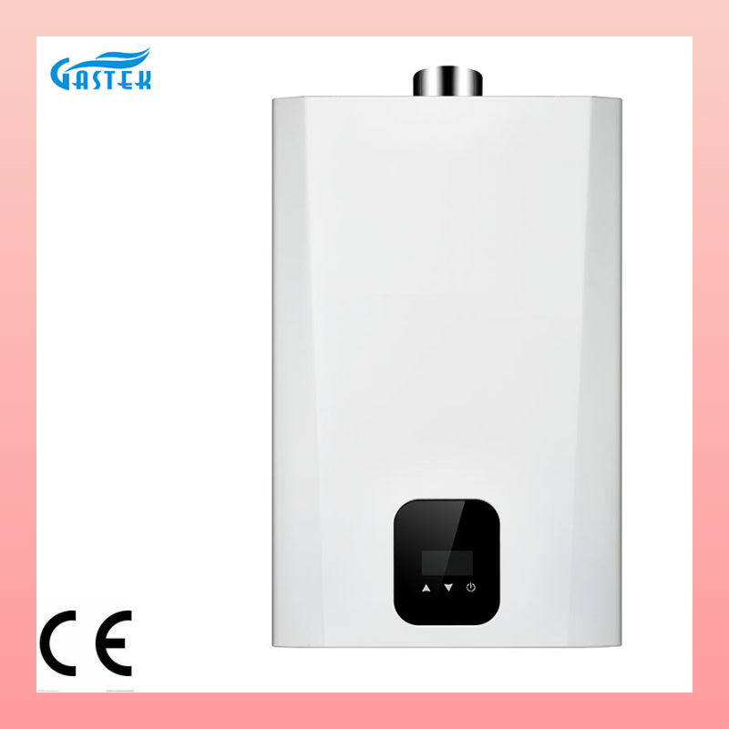 Efficient Household Water Heater with CE Mark for Easy Installation