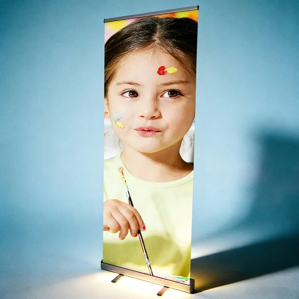 85*200cm 100×200cm Tianlang Handbag China Promotion Roll-up Banner for Exhibition