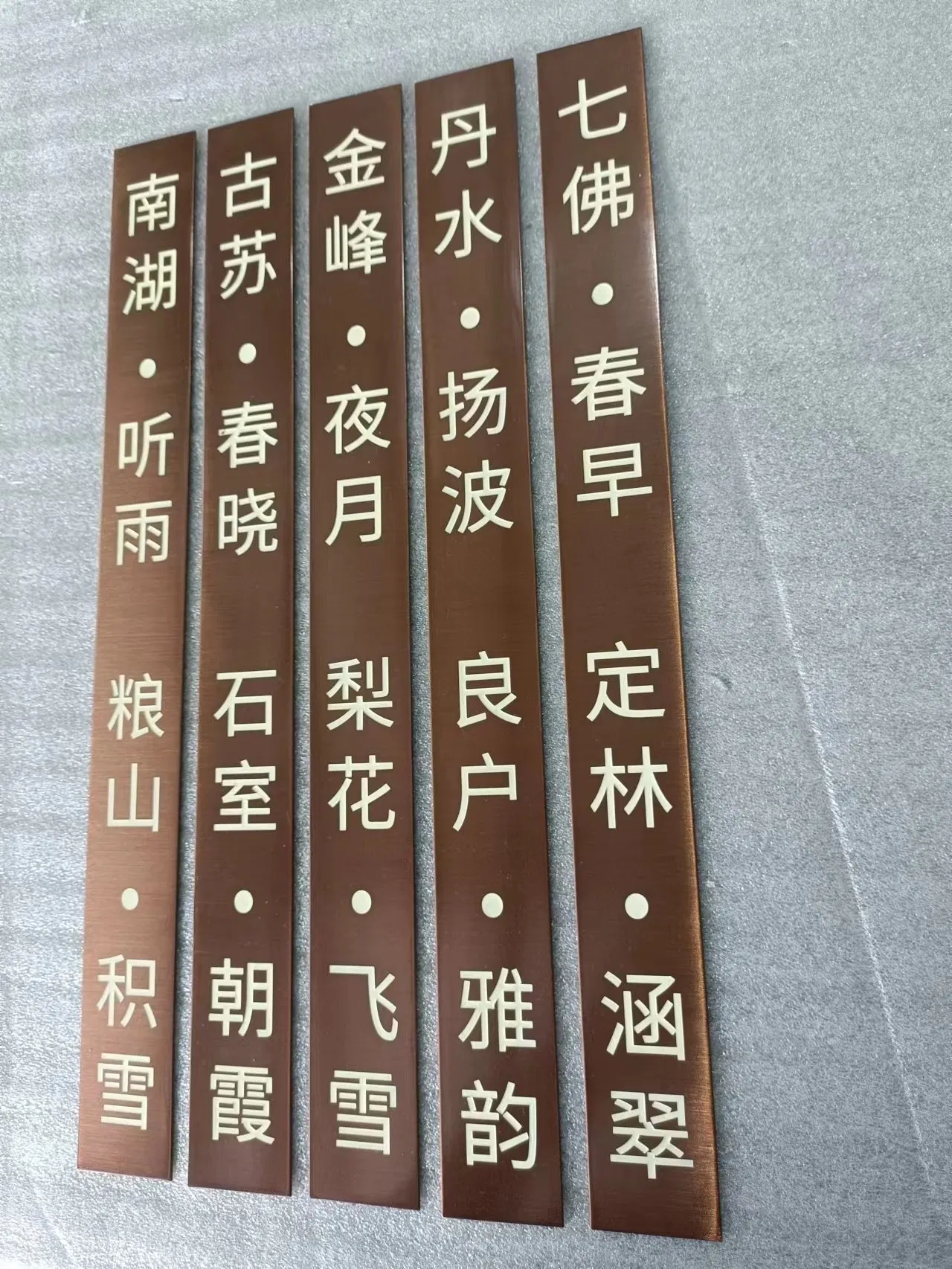 Indoor Stainless Steel Panel Etched Reception Sign with Paint