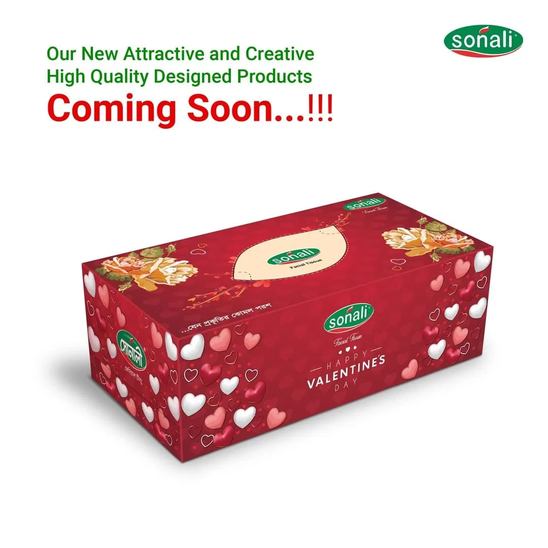 Organic Pack Soft Water Absorption Custom Logo Printing Bathroom Facial Tissues Paper