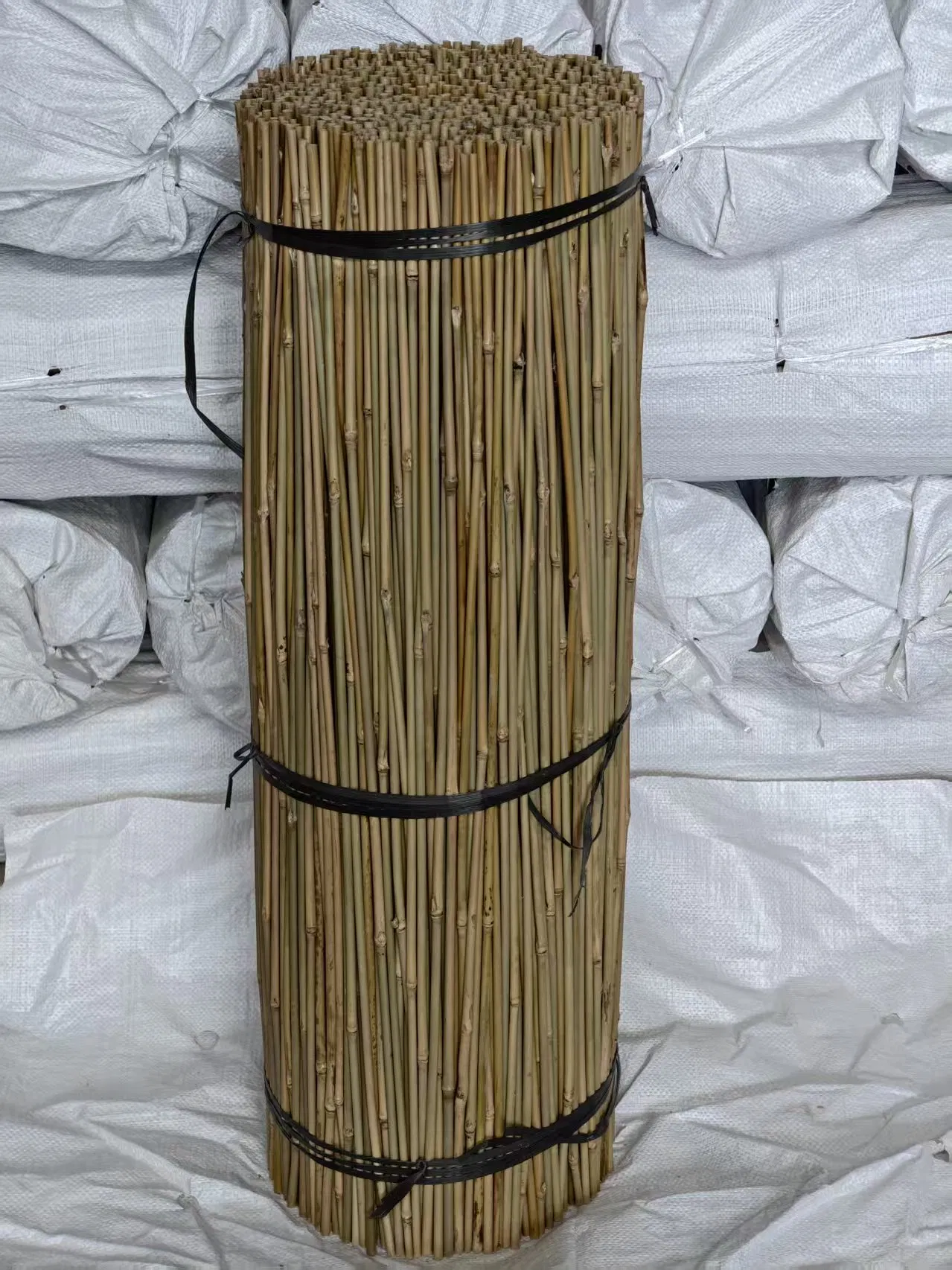 Tonkin Bamboo Pole Stake Stick Cane for Plant/Tree/Flower Support Bamboo Y
