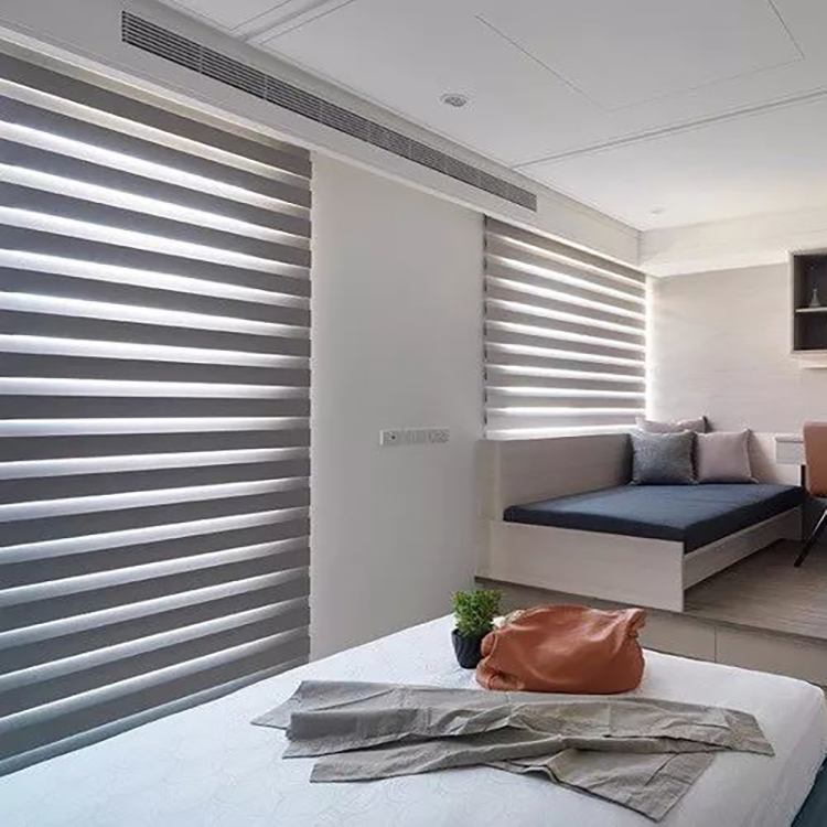 Customized Size Double Layer Window Zebra Shades Blinds