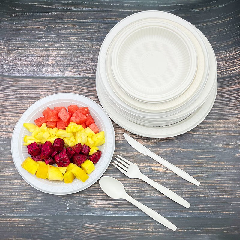 Water-Proof Biodegradable Plates 10 Inch Salad Catering White Round Plate