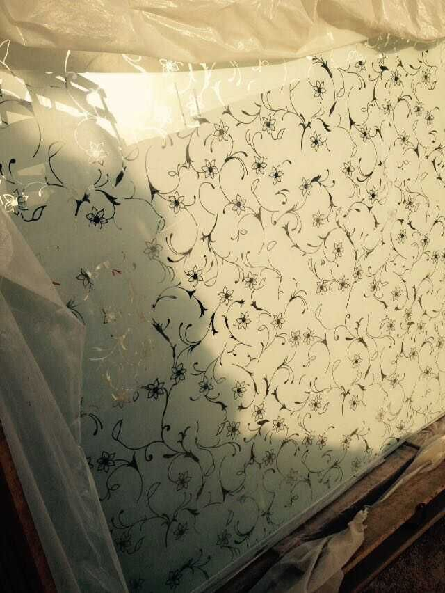 Decoration Glass / Kitchen Glass /Acid Etched Glass