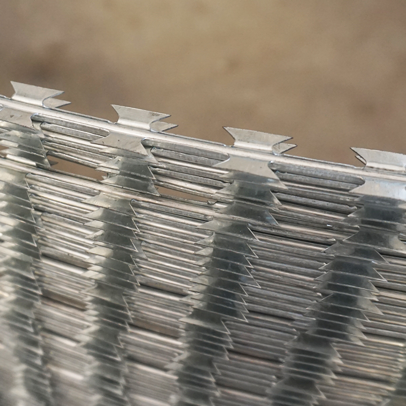 Anti-Rust Hot Dipped Security Fastener 2.5 mm Bto 16 22 Galvanized Concertina Razor Barbed Wire PVC Coated Safety Low Carbon Blade Razor Wire Rolls Anti Climb