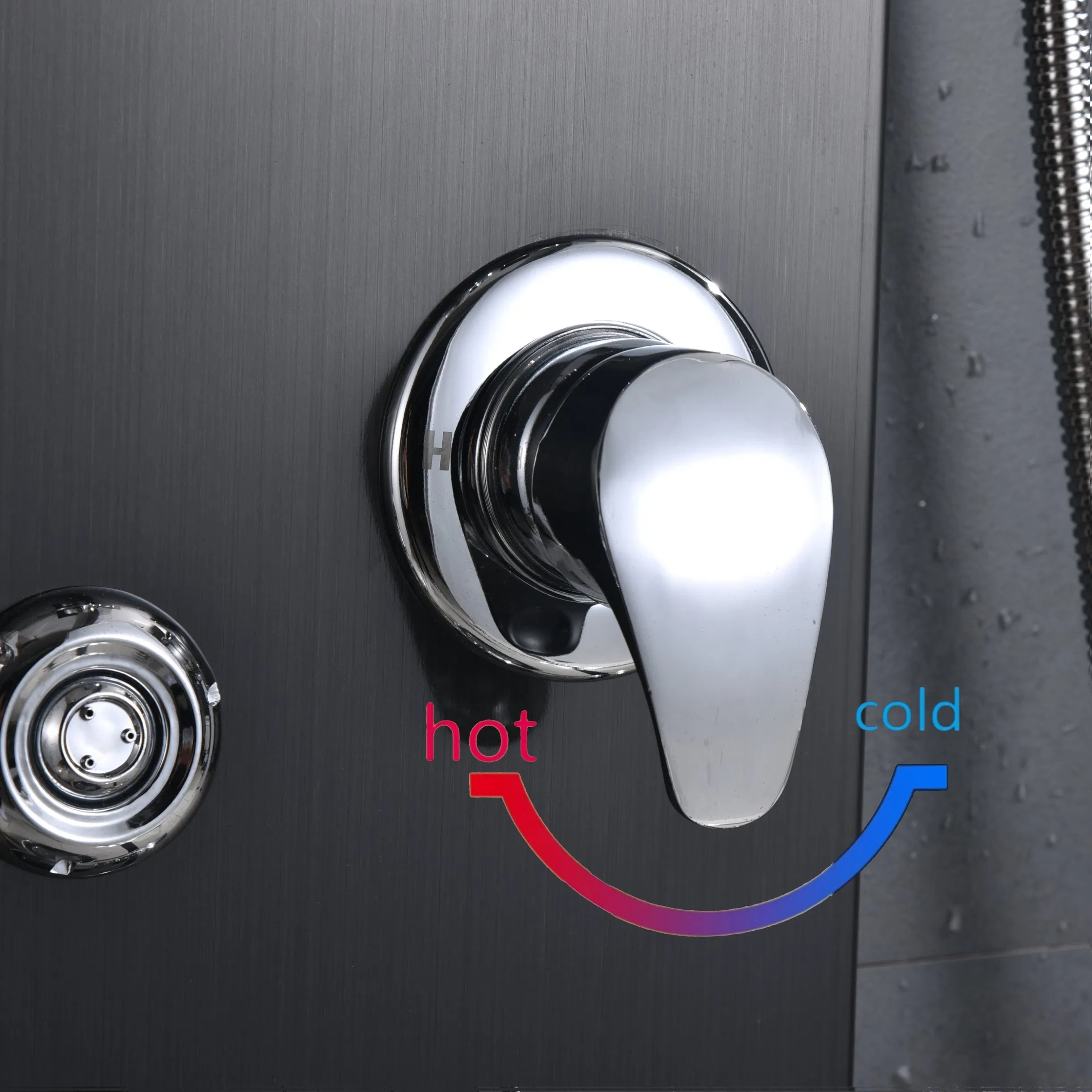 New Arrival Display Multi-Functions 304SUS Shower Panel