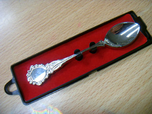 Souvenir Spoon Set Collecting Gift