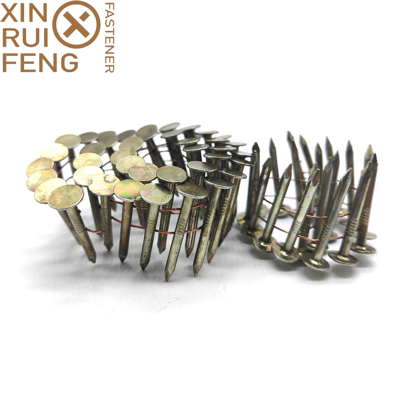 Best Quality 15 Deg Wire Coil Nail Smooth Shank HDG or Eg Coil Nails