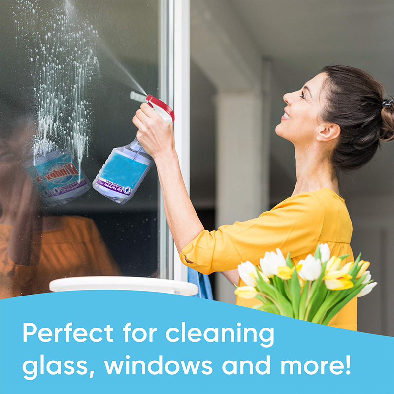 Biokleen Custom Factory Supply 946ml Streak Free Glass & Surface Cleaner for Mirrors Windows Kitchen Home and Auto