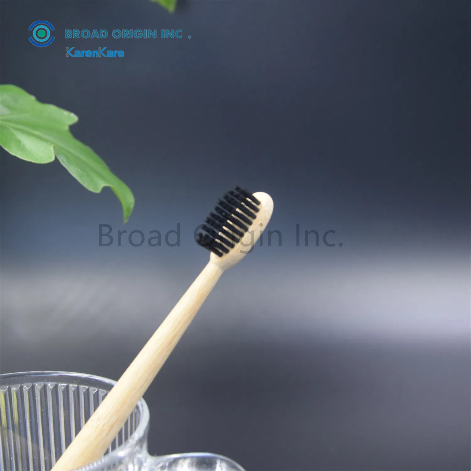 Wooden Handle Bamboo Tooth Brushes Family Pack Wholesale Eco Bamboo Toothbrush