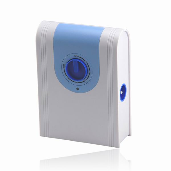 Portable Timer Control 300mg/H Ozone Air Water Generator for Fruit and Vegetables Purifier