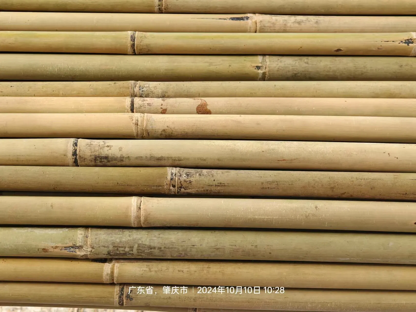 Tonkin Stake Stick Cane Fence Poles Panel Flowerstick U Trellis Craft Products Bamboo
